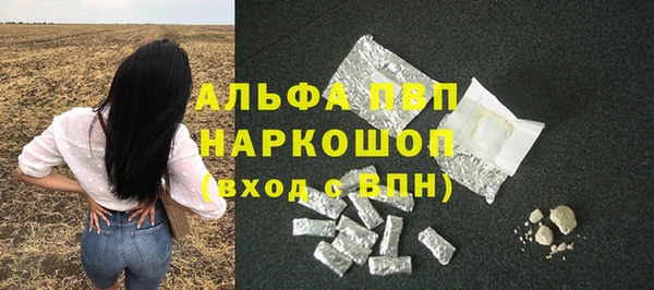 винт Инта