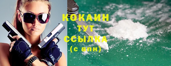 кокс Инсар