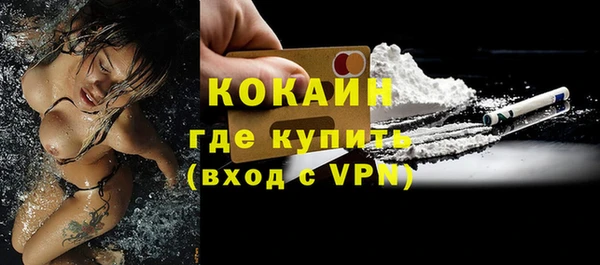 кокс Инсар